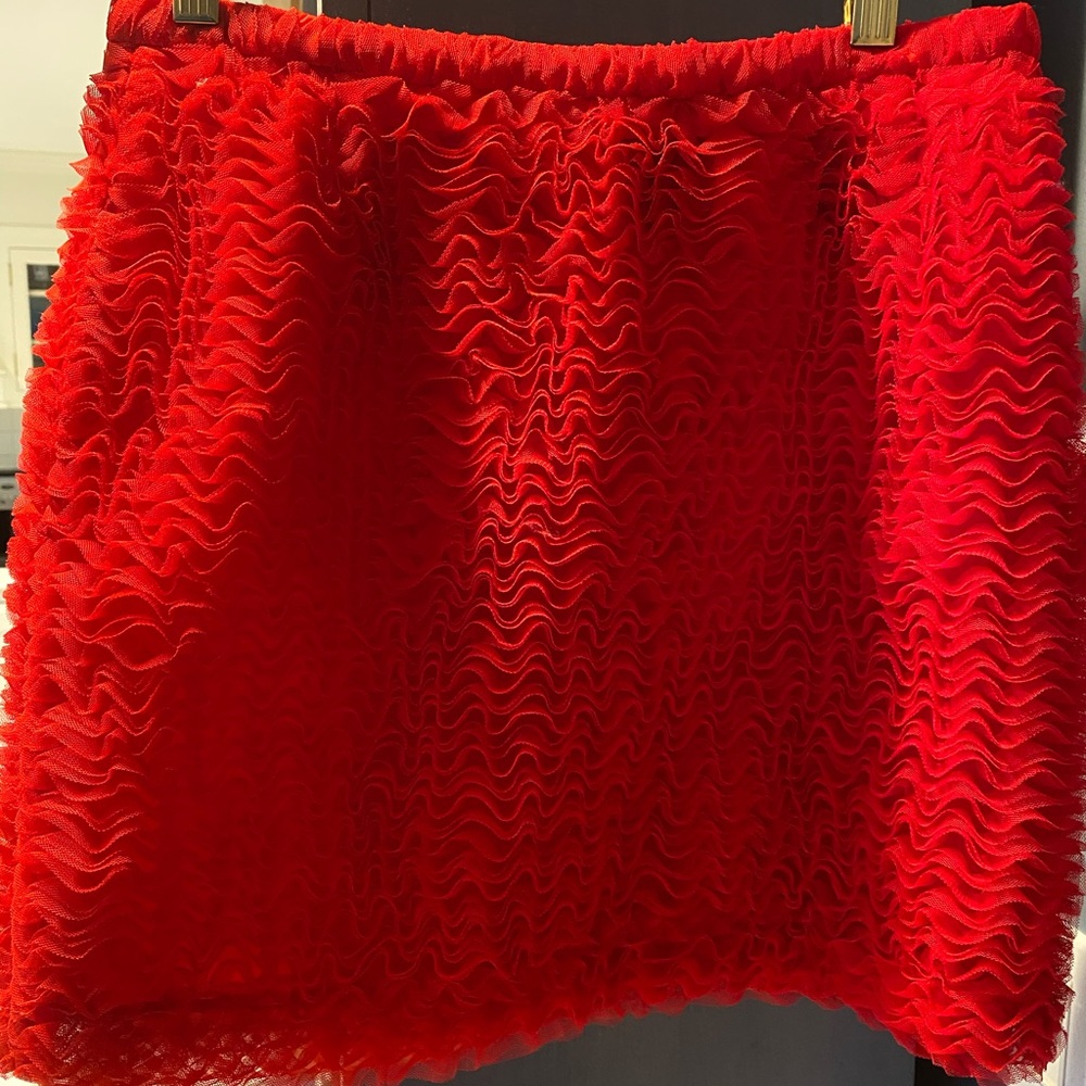 NWT H&M limited edition holiday skirt